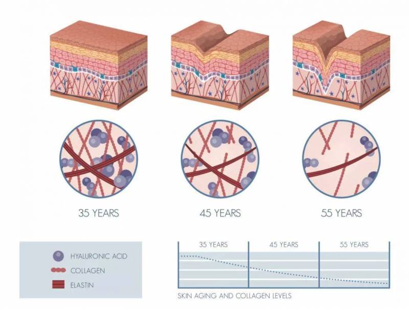 profhilo skinbooster structura 